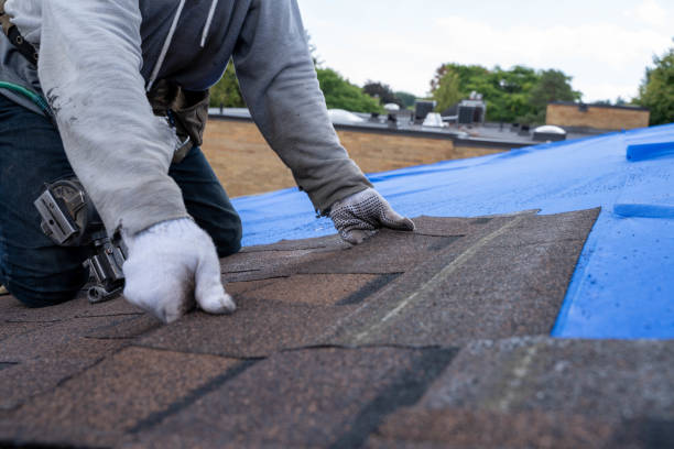Best Tile Roofing Contractor  in Calhoun City, MS